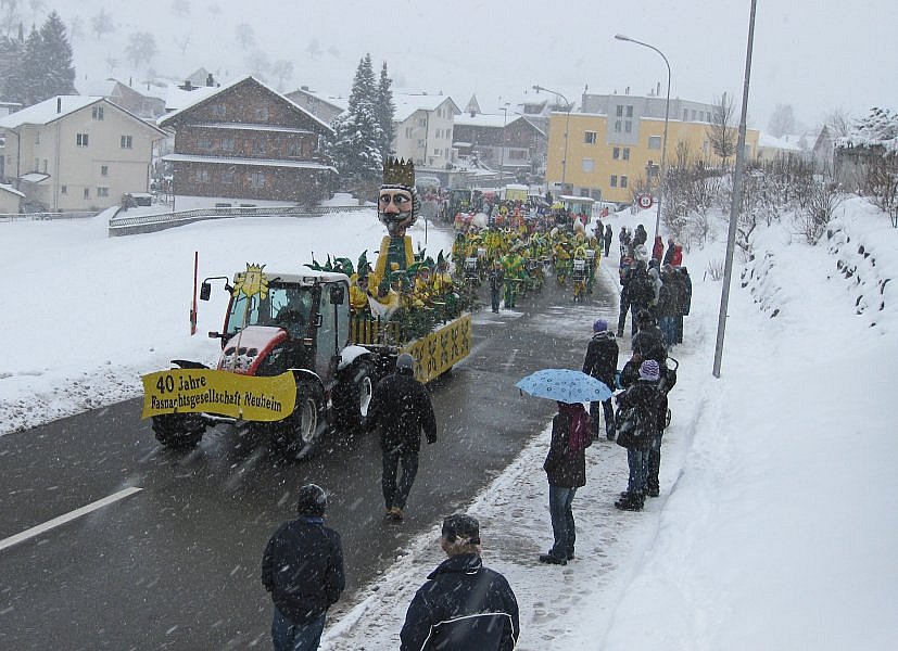 Fasi-Umzug 2010